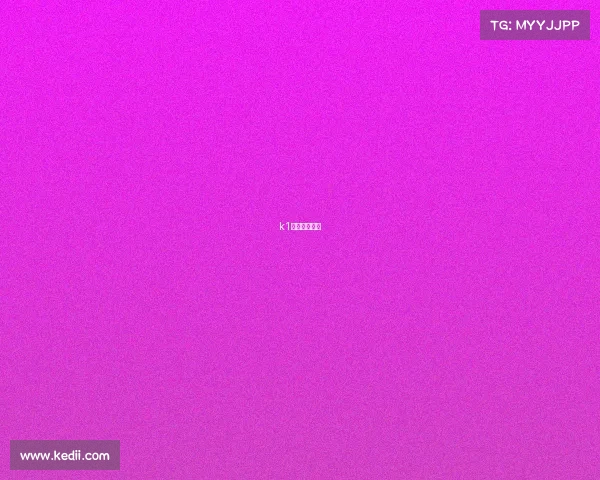 k1联赛直播免费